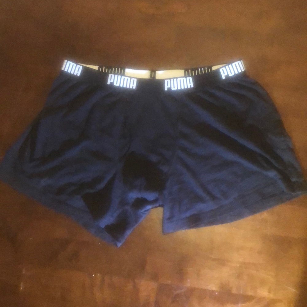 Puma Mens Dry cell boxer briefs (size: medium, 32”-34”)